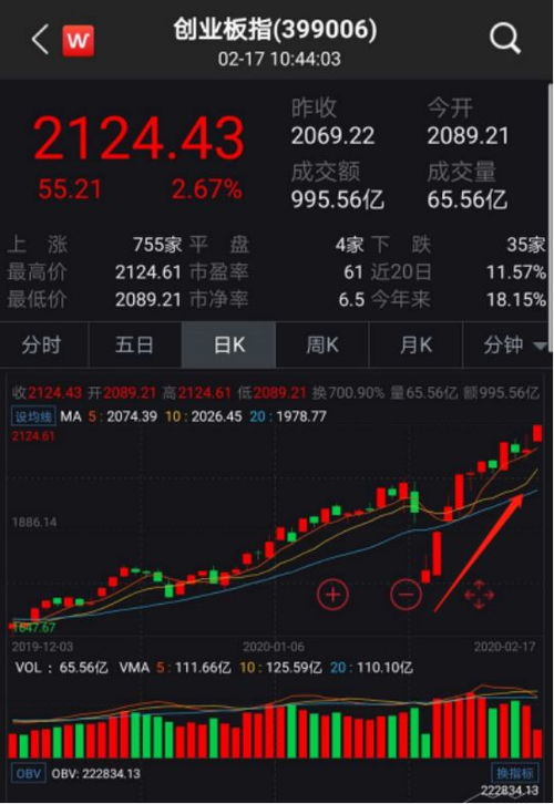 000716黑芝麻股票股吧