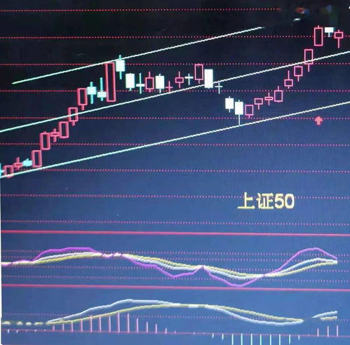 美锦能源股票吧 美锦能源股票吧东方财富 美锦能源股票吧 美锦能源股票吧东方财富