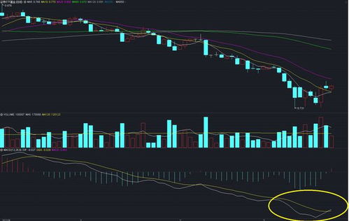 a股为什么跌了 a股为什么下跌